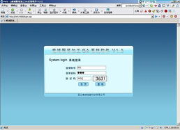 昆山鹿城信息科技 一站式网站建设与软件开发服务